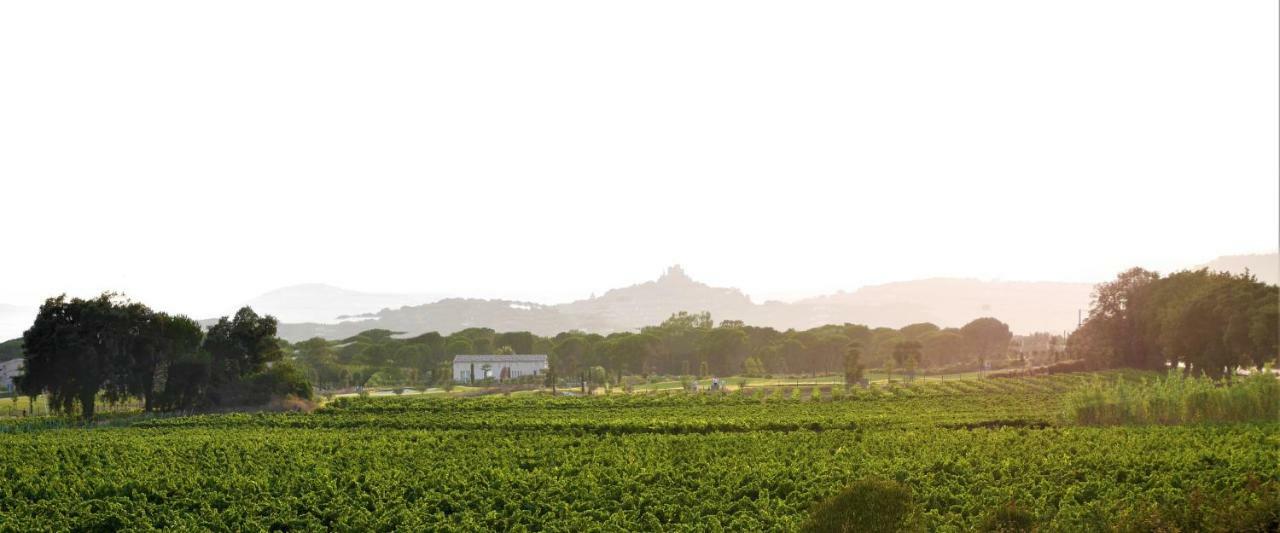 La Pinede Camping グリモー エクステリア 写真